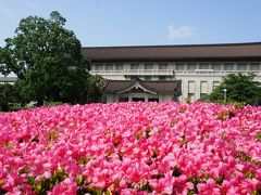 東京国立博物館もつつじ満開～2012