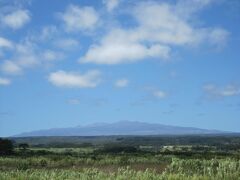 ハワイ島パワーチャージ！！ザ・フェアモントオーキッド＆シェラトンワイキキ泊