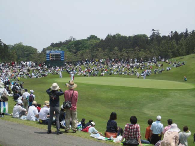 ５月のあれこれ掲載します(^_^)/