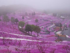 北海道4つのお花畑巡りと絶景の襟裳岬