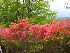 ツツジの日光、霧降高原と夕日岳