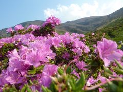 ミヤマキリシマ咲く九州三座登頂　温泉三昧♪　阿蘇山編