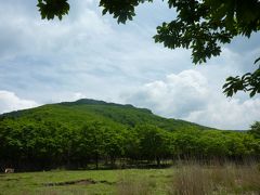 ミヤマキリシマ咲く九州三座登頂　温泉三昧♪　祖母山編