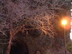 2003年12月　大分県(耶馬渓、英彦山神宮、湯布院、別府、臼杵、原尻の滝、岡城)