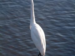 2003年12月　熊本県(阿蘇、熊本)