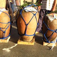 多良間島の豊年祭「スツウプナカ」を訪れる旅