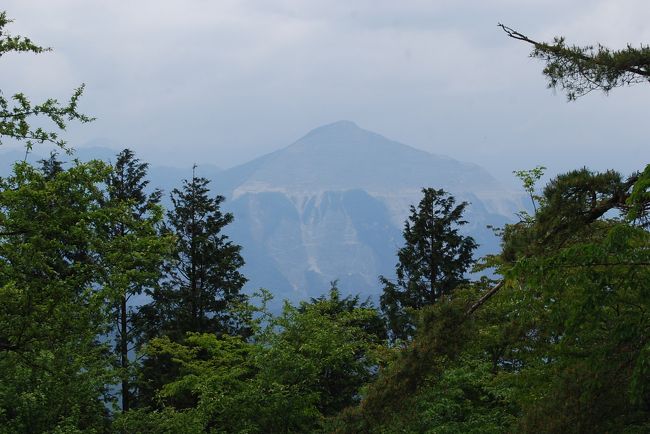 6月2日、午前7時56分上福岡発の東武東上線に乗り、秩父の丸山登山ハイキングをするために出発した。<br />今回の目的は恒例のヨーロッパアルプストレッキングのためにトレーニングするためである。 このために標高差が約660mある丸山を選択した。 それから、歩行距離として11キロ以上歩くようにした。<br />結果的には初めて歩く、芦ヶ久保~大野峠~丸山~芦ヶ久保果樹園村~芦ヶ久保のハイキングコースは無事に踏破することができた。 梅雨前の薄曇りで気温はやや低めで快適なハイキングができた。 行程、歩行距離、所要時間、標高差は以下のとおりである。<br /><br />(行程)上福岡ー川越ー東飯能―芦ヶ久保ー大野峠ー丸山ー県民の森ー高篠鉱泉郷分岐ー芦ヶ久保果樹公園村ー芦ヶ久保<br />ー東飯能ー川越ー上福岡<br />(歩行距離) 11.35キロ<br />(歩行時間) 4時間40分(食事休憩時間を除くと4時間10分)<br /><br />(標高差)960m-317m=643m<br /><br /><br />*写真は丸山山頂より見られた武甲山<br />