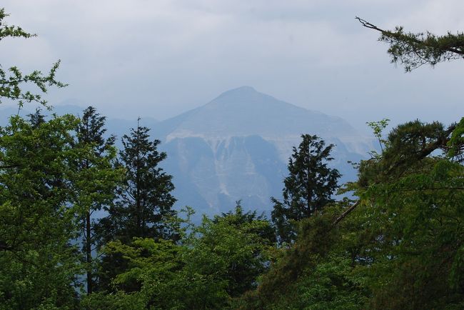 6月2日、午前7時56分上福岡発の東武東上線に乗り、秩父の丸山登山ハイキングをするために出発した。<br />今回の目的は恒例のヨーロッパアルプストレッキングのためにトレーニングするためである。　このために標高差が約660mある丸山を選択した。　それから、歩行距離として11キロ以上歩くようにした。<br />結果的には初めて歩く、芦ヶ久保～大野峠～丸山～芦ヶ久保果樹園村～芦ヶ久保のハイキングコースは無事に踏破することができた。　梅雨前の薄曇りで気温はやや低めで快適なハイキングができた。 行程、歩行距離、所要時間、標高差は以下のとおりである。<br /><br />(行程)上福岡ー川越ー東飯能―芦ヶ久保ー大野峠ー丸山ー県民の森ー高篠鉱泉郷分岐ー芦ヶ久保果樹公園村ー芦ヶ久保<br />ー東飯能ー川越ー上福岡<br />(歩行距離)　11.35キロ<br />(歩行時間)　　4時間40分(食事休憩時間を除くと4時間10分)<br /><br />(標高差)960m-317m=643m<br /><br /><br />*写真は丸山山頂より見られた武甲山<br />