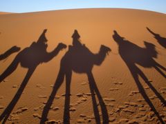 モロッコ旅行☆　メルズーガ大砂丘で朝日 & フェズへ向かう…