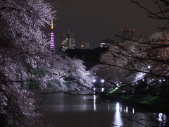 2012都内桜紀行～千鳥ヶ淵～