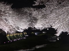 2012都内桜紀行～１夜限りの野川夜桜～