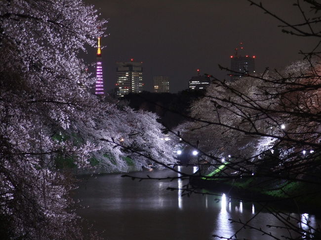 ２年ぶりの千鳥ヶ淵の桜。<br />ここの夜桜は、いつ見ても、<br />その美しさに圧倒されてしまいます。