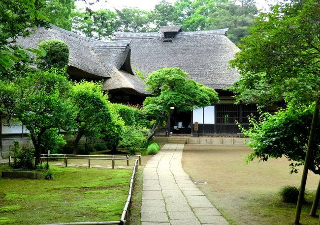 前々から興味のあった場所☆<br />常総の文化財・坂野家住宅と隣接するローズガーデンへ、<br />行って来ました♪ <br /><br />「だいじん屋敷」と地元で呼ばれる坂野家は、<br />当地に土着してから、５００年になる豪農です。<br />江戸時代中期に、飯沼の新田開発（約３０Ｋ?）の大事業で、<br />坂野伊左衛門が「頭取」の１人に任ぜられ、<br />米の生産拡大に尽力しました。<br />天保年間（1830〜1843年）には、二宮金次郎（尊徳）が<br />荒地再興の任を帯び、屋敷に逗留した記録も残っているそうです☆<br /><br />1haに及ぶ敷地内に建物・庭園・書院があり、<br />昭和４３年（1968年）に主屋・表門（薬医門）が、<br />国の重要文化財に指定されました☆<br /><br />時代劇に欠かせない、鬱蒼とした竹林・重厚な趣の薬医門など。。<br />色々な作品に登場しているので、時代劇好きな方たちには見覚えのある景色かもしれませんよ（笑）<br />テレビドラマでは、「仁」「篤姫」「新撰組」etc．<br />登場してるそうです。<br /><br />今回は、超・楽々バスツアーを利用しましたが、<br />やっぱり時間配分に不満の残る企画で、<br />もう一度、リベンジ見学したい所です<br /><br />☆水海道駅からタクシーで30分・バス便などは無く<br />車がないと不便な場所でした。