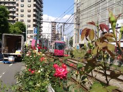 バラの香りの東京、大塚