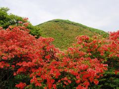 2020.6 恵山・函館・五稜郭、今が満開つつじ巡り①…恵山登山＆恵山つつじ祭り