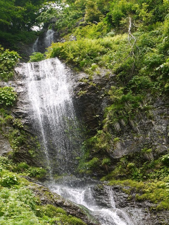 滋賀県湖北の信仰の山・横山岳中腹に懸る五銚子の滝です。<br /><br />滝メグラー隊長JOECOOLさんご夫妻が友人とお出でになるということで、ご一緒させていただきました。<br /><br />横山岳は滋賀県第3位の高さを誇る標高1131.7m 、<br />美しい「経の滝」「五銚子の滝」を望む白谷本流コースや、ブナの自然林を歩く東尾根コースに三高尾根コースなどコースも多彩な山です<br /><br />★同行のGOTOCHANさんの旅記です、ぜひご覧になってくださいね<br /><br />http://4travel.jp/traveler/gotochan/album/10676622/<br /><br /><br /><br />★以前登った２００７年の記録です。<br /><br />http://4travel.jp/traveler/roko8781/album/10152166/<br /><br />