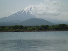 初夏の富士五湖巡りドライブへ行きました(^^ゞ　【山中湖へは行かなかったけど（汗）】