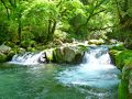 新緑に映える菊池渓谷