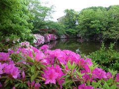 京都・新緑の庭と春季特別拝観⑤