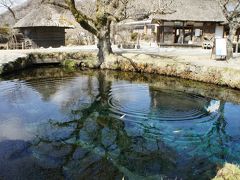 忍野八海を巡る旅　～湧水の青い色が神秘的でした