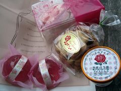 円熟期の京成バラ園で春バラのフィナーレを飾る（1）プロローグ：京成バラ園への路