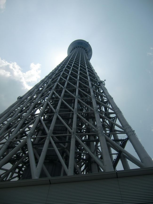 ディズニーリゾートから両国のホテルに移動してスカイツリーと横網公園＆江戸東京博物館を楽しんできました。<br />スカイツリーでは、ゆったりと見る事が出来ました。<br />翌日は、ホテルのそばにあった横網公園と江戸東京博物館、ここでは、かなりの長い時間、見て回りました。