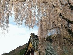 12年春、家族で「船山温泉」さんへ泊まろう！