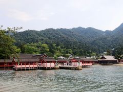 ＜瀬戸内・初心者一人旅・５＞宮島・世界遺産旅行・１　奥ゆかしい鹿と憧れの厳島神社