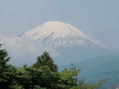 サンショウバラ咲く世附峠(＆不老山)：単独行。