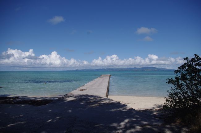 竹富島旅行記。<br /><br />沖縄県八重山諸島の一つである竹富島（たけとみじま）は、周囲9.2?、面積5.42平方メートル、人口300人ほどの島です。<br />石垣島から6.5?、船で10分ほどのところにあります。<br /><br />竹富島の魅力は、ブルーの海と蒼い空に囲まれた白いビーチ、沖縄らしい赤瓦の屋根と白いサンゴが敷き詰められた道、亜熱帯に咲く花などです。<br />その、魅力的な竹富島や花などを紹介します。<br />