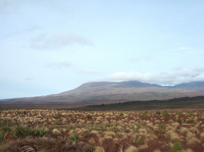 ロトアイラ湖から国道47号をしばらく南下すると眼前にトンガリロの山並みと荒涼とした大地が広がります。NZの放牧地の景色とガラッと雰囲気が変わって、人間の手が加えられていない自然な景色が楽しめます。<br /><br />一つ前の旅行記でも記述しましたが、本来ならこの辺りもヨーロッパからの移民によって放牧地に変えられていた可能性もありましたが、当時のマオリの首長が彼らの聖地であるトンガリロの土地を国に寄進して、国の管理下に置くことで、乱開発を免れています。<br /><br />火山が造り出した荒涼とした大地の風景は自然の厳しさを伝えると共に先人の土地を守る想いが伝わってきます。