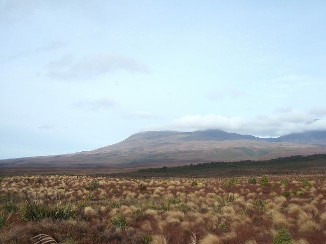 ロトアイラ湖から国道47号をしばらく南下すると眼前にトンガリロの山並みと荒涼とした大地が広がります。ＮＺの放牧地の景色とガラッと雰囲気が変わって、人間の手が加えられていない自然な景色が楽しめます。<br /><br />一つ前の旅行記でも記述しましたが、本来ならこの辺りもヨーロッパからの移民によって放牧地に変えられていた可能性もありましたが、当時のマオリの首長が彼らの聖地であるトンガリロの土地を国に寄進して、国の管理下に置くことで、乱開発を免れています。<br /><br />火山が造り出した荒涼とした大地の風景は自然の厳しさを伝えると共に先人の土地を守る想いが伝わってきます。