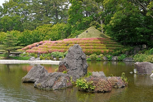 今回の出張，珍しく朝から出発で来たので，1003東京発ひかり463号で静岡へ．最初は，日本平，久能山，三保の松原に行こうと思ったが曇り時々雨のあいにくの天気．あきらめてまだいったことない駿府公園に．最初は晴れていたがやはり下り坂．時々雨が降る天気になったのでこの選択は正解だった．1108静岡駅へ．宿泊するホテルアソシア静岡に荷物を預けて，駿府公園に．巽櫓と紅葉山庭園どちらも良かったが，県庁の巨大なビルが無粋だった．とくに巽櫓の中は歴史博物館になっていて駿府城の歴史がよくわかった．また案内ホーンを巽櫓も紅葉山庭園も貸してくれたので，歴史がよくわかった．ゆっくりと見学した．1239静鉄新静岡駅へ，清水に行って，魚市場で魚を食べよう！！