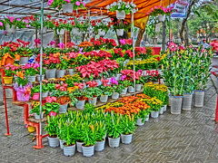 上海よりシンガポールまでの旅日記（１２）フエ二日目