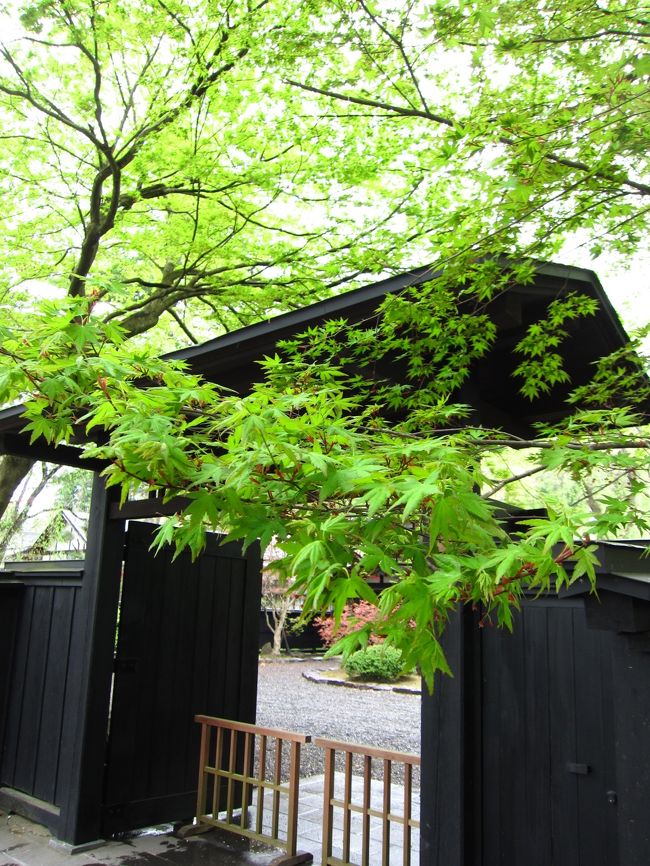 東北縦断旅行２日目は生憎の雨。<br /><br />本日の目的地は秋田県角館。GW中の角館は花見の時期でもあり、渋滞必至との情報を得ていたので、<br />ホテルの朝食を断念して、６時に青森を出発。<br /><br />途中、激しい雨に見舞われながらも、１０時くらいには角館到着。<br />とんでもない渋滞を覚悟していたのに、拍子抜けするぐらいすんなり到着。<br />やはり、朝早く行動したのが吉だったようだ。<br /><br />武家屋敷の近くにある、個人の駐車場に停める事ができたので、すぐさま武家屋敷へ。<br />雨は良い感じで小雨。<br /><br />桜の時期はすでに終わっていたみたいで、微かに花を残している木が何本かある程度で後は葉桜。<br /><br />あまり混んでいないと思っていたけど、通りに入ると人！人！！人！！！<br /><br />黒壁の屋敷塀の写真が撮りたいのに、人が居過ぎてうまく撮れない…。<br /><br /><br />とりあえず、まずは石黒家へ。<br />ここでも、門の前で写真を撮りたいのに人がいたので断念。<br />靴を脱いで室内に上がれたので、部屋の中の小さな細工をパチリ。<br /><br />桜細工のお土産店など覗きつつふらふら歩いた後、早めの昼食を摂ることに。<br />お店は、事前に行くと決めてあった“お食事処　桜の里”さん。<br /><br />お店に到着したときはすでに満席。数分待って席に通されたけど、相席。<br />人気のお店らしい。ますます期待。<br /><br />メニューはこれまた事前に決めてあった比内地鶏の親子丼と稲庭うどんのセット。<br />あと、追加で比内地鶏の焼き鳥。<br /><br />比内地鶏は歯ごたえ抜群で美味しいし、稲庭うどんはつるつるで美味しかった。<br /><br /><br />お店を出る頃には、先ほどよりも並んでる人が増えてた。<br />良い時間帯に入れたようだ。雨もすっかり止んでラッキー。<br /><br />また、いろんなお店やお屋敷を覗きつつ、一番大きな青柳家へ向かう。<br />途中、ひたすら人で溢れ返っている“花上庵”さんというお店へ。<br />中に入ってみたけど、人の波に飲まれてほとんど何も見えなかった。<br />お味噌とか売ってたみたい。<br /><br />外で、豚まんを売っていたので、誘惑に負けてひとつ購入。<br />美味しかった。<br /><br />その後、青柳家を見学し角館を引き上げた。<br /><br />予定よりだいぶ早く観光が終わったので、角館に来る途中で見かけたミズバショウの群生地“刺巻湿原”まで戻る。<br /><br />手前には一面にミズバショウ、奥にはカタクリの花が広範囲に咲いていて、しばし散策。<br /><br />まだまだ時間があったので、ここまで来たなら白い温泉に入ろう！と、<br />乳頭温泉まで行ってみた。時間的に日帰り入浴をやっていたのが“休暇村　乳頭温泉郷”さんだったのでこちらへ。<br /><br />お風呂はものすごく混んでいたけど、乳頭の湯と高原の湯の２種類のお湯が楽しめてよかった。<br />しかも、露天風呂では居合わせた方々（みんな知らない人。各地から来ている）と、会話したりして旅の醍醐味を味わえました。<br /><br />温泉を満喫したところで、一路宿泊地の秋田県横手市へ。<br /><br />横手到着時、まだ少し明るかったので、横手城をチラ見。<br />桜の花は散っていたけど、花見用のライトアップがされていました。<br /><br />さて、本日のホテルは横手ステーションホテル。<br />実は、このホテル。駐車場利用は先着２０台ということで、事前の電話予約が必要なホテル。<br />じゃ○らんにて予約後、休日の昼間に電話しても一向に電話に出ない。<br />普通フロントに誰かいるでしょう…と不安になって営業しているのかネットで調べたところ、<br />なんと、『自己破産申請し倒産へ…』との記事が！！<br />心配になって、すぐさまじゃ○らんに問い合わせをしたところ、<br />「営業しておりますのでご心配なく」との回答でした。<br />その後無事に電話もつながり事なきを得たわけですが…<br /><br />どんなホテルなんだろうとドキドキしながらむかうと、立地は横手駅前で最高なのですが…<br />建物は古い。フロントもおねぇさん一人で、ソファーやテーブルなども置いていなく殺風景。<br /><br />不安な気持ちで部屋に入ってみると、意外と広い。<br />内装やベッドカバーは年代を感じる。<br />けれど掃除は行き届いていて綺麗でした。<br /><br /><br />夕食は外でB級グルメの横手焼きそばを食べに行くことに。<br />ところでこの横手市。駅は近代的で新しく綺麗なのに、街に人が居ない。<br />しばらくふらついてみたけど、基本的に明かりが少ない。<br />なぜ、こんな街にホテルがあるんだろうかと疑問。<br /><br />結局、ホテルの目の前にある“食い道楽”さんへ。<br />横手焼きそばと、鶏皮の餃子、お酒など頼んで食事を満喫。<br /><br />良い感じに酔っ払って早めに寝ました。<br /><br />