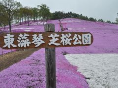 春の北海道*その２*「東藻琴の芝桜と上湧別のチューリップ」