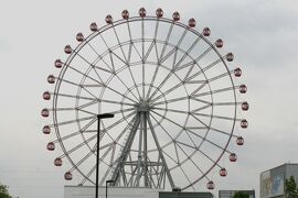 2012梅雨、刈谷ハイウェイオアシス：観覧車、アジサイ、ハクセキレイ