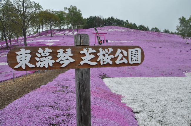 ５月２７日、この日「４トラの北海道観光大使」である「きーちゃんさん」と<br /><br />最接近したことも知らず、摩周湖を後にして硫黄山から「東藻琴芝桜公園」へ<br /><br />「網走海鮮市場」で昼食後「天都山」へ。<br /><br />そして「上湧別」の１２０万本のチューリップ畑で寒さにふるえ<br /><br />今夜のお宿「層雲峡温泉」で暖まります。