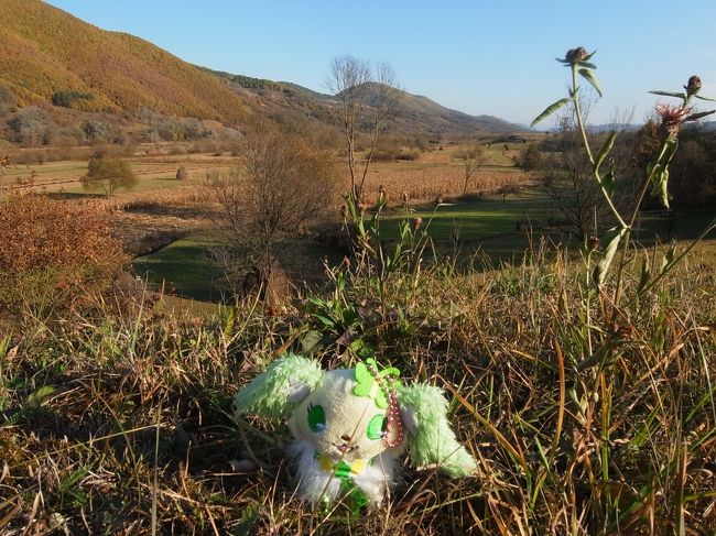 この旅最大の目的地、マラムレシュに到着♪期待していたよりもずっとずっと素敵なところでしたっヾ(●・v・人・v・○)ノ