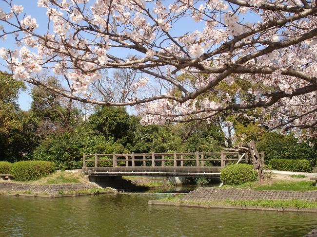 ４月に撮影して未だアップしていなかった「桜」をアップいたします。当日は快晴でうららかな１日でした。ブルートレインはというと・・・職場で時間休(2時間）を頂き、桜撮影となりました。
