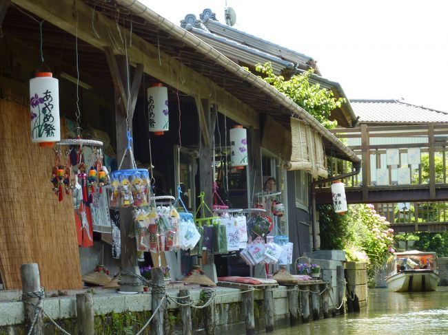 先週の土曜に訪れた佐原ですが、実は先週は下見のようなもので、今度は友人ご夫妻と見頃を迎えた花菖蒲を見に、前川あやめ園と水郷佐原植物園に行ってきました。<br /><br />前回は乗船しなかった「水郷十二橋めぐり」も楽しみました。<br />何も知らずに乗船したのですが、水郷情緒をたっぷり味わう事が出来ました。<br />船は民家の間の路地道のような水路を通り、この地域の昔がそこには残されていました。<br /><br />そして前回行って美味しいと確認済みの水郷どりの「須田商店」に行き<br />焼き鳥丼を食べてきました。(前回写真で紹介しているので、今回は省略)