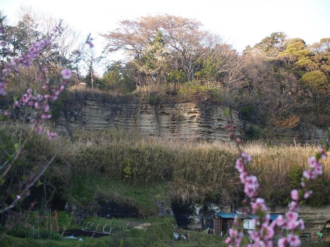 鎌倉界隈は凝灰質粗粒砂岩と呼ばれる岩盤からできている。鎌倉時代以降に、谷戸を切開いて寺社や武家屋敷を造成する際や、切通を掘削する際にこの岩盤から石が切り出されて利用された。柔らかいく細工しやすいので、寺社の石段や多層塔、石燈籠など、様々な用途に用いられた。柔らかいために磨り減りやすく、寺社の石段などには磨り減ってしまっているものも多く見られ、月日の長さを偲ばせてくれる。<br /> こうした石は鎌倉石(かまくらいし)と呼ばれている。その後も、鎌倉市や藤沢市では鎌倉時代から昭和初期まで鎌倉石が採掘された。<br /> 鎌倉石を切り出した石切場は鎌倉界隈の至る所に見られる。谷戸の寺社の崖ややぐらが見られる場所は大抵は鎌倉石を切り出した跡であろう。<br /> 鎌倉界隈で鎌倉石の石切場として知られている場所は大切岸、天園ハイキングコースの胡桃山下(大江広元墓下)、十王岩横、明月谷入口、衣張山山頂下、朝夷奈切通峠付近、光蝕寺奥の墓地脇などがある。また、報国寺奥の谷戸や金剛窟地蔵尊が祀られている巡礼古道のあたりにも石切場があったのであろう。大仏坂切通のやぐらの見られる崖も石切場跡であろうか。<br />(表紙写真は大切岸の鎌倉石石切場跡)