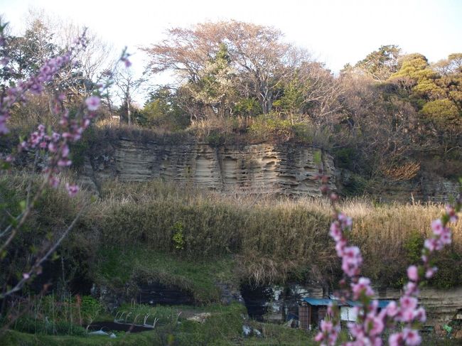 　鎌倉界隈は凝灰質粗粒砂岩と呼ばれる岩盤からできている。鎌倉時代以降に、谷戸を切開いて寺社や武家屋敷を造成する際や、切通を掘削する際にこの岩盤から石が切り出されて利用された。柔らかいく細工しやすいので、寺社の石段や多層塔、石燈籠など、様々な用途に用いられた。柔らかいために磨り減りやすく、寺社の石段などには磨り減ってしまっているものも多く見られ、月日の長さを偲ばせてくれる。<br />　こうした石は鎌倉石（かまくらいし）と呼ばれている。その後も、鎌倉市や藤沢市では鎌倉時代から昭和初期まで鎌倉石が採掘された。<br />　鎌倉石を切り出した石切場は鎌倉界隈の至る所に見られる。谷戸の寺社の崖ややぐらが見られる場所は大抵は鎌倉石を切り出した跡であろう。<br />　鎌倉界隈で鎌倉石の石切場として知られている場所は大切岸、天園ハイキングコースの胡桃山下（大江広元墓下）、十王岩横、明月谷入口、衣張山山頂下、朝夷奈切通峠付近、光蝕寺奥の墓地脇などがある。また、報国寺奥の谷戸や金剛窟地蔵尊が祀られている巡礼古道のあたりにも石切場があったのであろう。大仏坂切通のやぐらの見られる崖も石切場跡であろうか。<br />（表紙写真は大切岸の鎌倉石石切場跡）