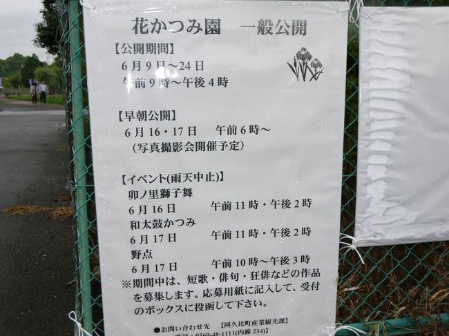 今年も花かつみの季節になりました。<br />１６日（土）１７日（日）はイベントが行われます<br />１６日　獅子舞<br />１７日　和太鼓、野点<br />駐車場は１０台ほどありますがお隣のデンソーもご利用いただけます<br />