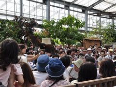 神戸花鳥園で過ごす休日（２）