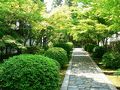 日本の旅　関西を歩く　京田辺市の一休寺（いっきゅうじ）周辺