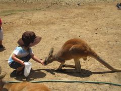 動物にあうinゴールドコースト