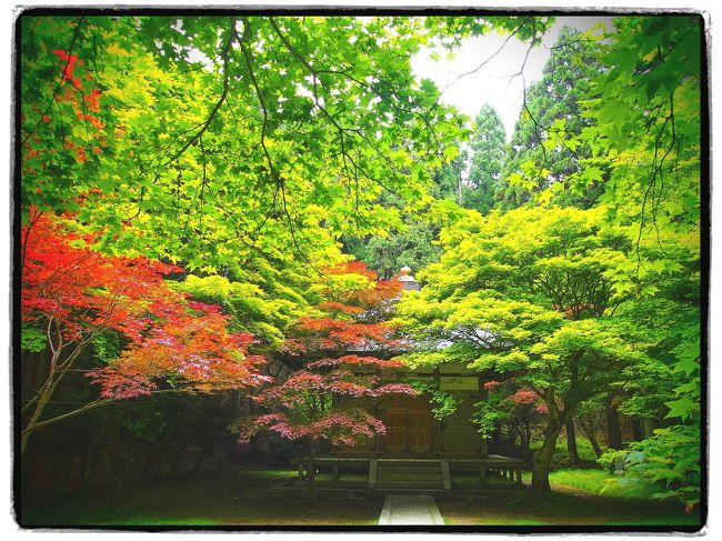 【旅の２日目後半。延暦寺横川・西塔散策】<br /><br />比叡山延暦寺を巡る旅はいよいよ後半戦に。<br />これまで延暦寺三塔の中心である東塔から無動寺谷を廻ってきましたが、さらに比叡の山の一番北側に位置する横川、そして美しい杉並木に包まれた西塔へ足を延ばしてゆきます♪<br /><br />このあまりにも広大な境内を歩いてみると、伝教大師最澄による開山以降の長い期間にわたって積み重ねられた多彩な人物・信仰が各所に残っていて、「仏教の総合大学」の名にふさわしい懐の深さを感じさせてくれる地でした｡｡｡<br /><br />※延暦寺の諸堂外観（堂内は撮影禁止）と参道（山の中）の写真が続きますので、ちょっと単調かもしれませんが、そこはご容赦を｡｡｡<br /><br />〔旅の２日目後半の行程〕<br />・延暦寺横川（横川中堂～恵心堂～四季講堂（元三大師堂）～元三大師御廟） ～ 延暦寺西塔（にない堂～釈迦堂～瑠璃堂～浄土院） ～ 延暦寺東塔（法華総持院） ～ 延暦寺バスセンター ～ JR京都駅 ～ 東京駅<br /><br />〔旅の１日目前半の旅行記～叡山の門前町坂本を巡る～〕<br />http://4travel.jp/traveler/akaitsubasa/album/10676888/<br />〔旅の２日目前半の旅行記～東塔根本中堂から無動寺谷明王堂へ～〕<br />http://4travel.jp/traveler/akaitsubasa/album/10678127/