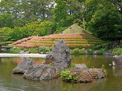 【国内90】静岡出張旅行1-駿府公園，巽櫓，紅葉山庭園，東御門