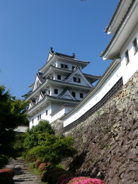 長男は今、長期出張で、岐阜県のとある都市に住んでいます。<br /><br />梅雨に入る前に、お互い何とか時間を作って、近辺を案内をしてもらうことにしました。<br /><br />岐阜県の飛騨高山や奥飛騨温泉郷は何度か行ってはいるが、郡上八幡や白川郷はまだ行ったことがない。<br />とりあえず、私は郡上八幡に行ってみたいが、夫は、琵琶湖畔の長浜に行きたいらしい。<br /><br />どこに行くことになるか未定だが、岐阜・福井・滋賀辺りのガイドブックを3冊買い込んで新幹線に乗り込んだ。<br /><br />宿の予約もしない、気ままな旅の予感。<br /><br />でも、一体どこに行くことになるのだろう・・・<br /><br />まさに、ミステリーツアーのスタートです。